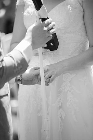 1175_SarDerWed