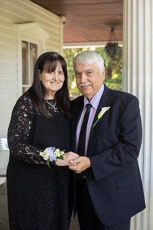 0197_SarDerWed