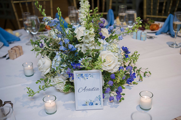 1324_SarDerWed