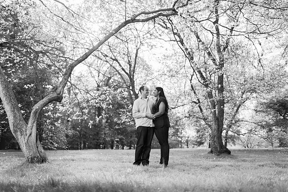 Engagement Locust Grove Poughkeepsie
