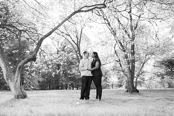 Engagement Locust Grove Poughkeepsie