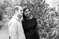 Engagement Locust Grove Poughkeepsie