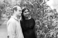 Engagement Locust Grove Poughkeepsie