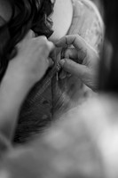 0017_SarDerWed