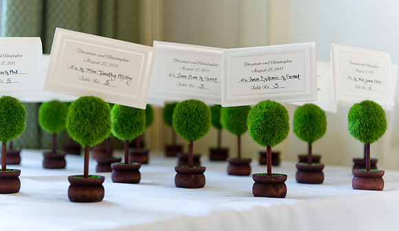 Wedding Seating Cards