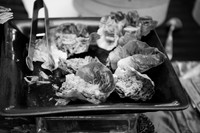 1244_SarDerWed